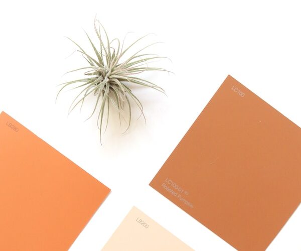 peindre un mur à la bombe