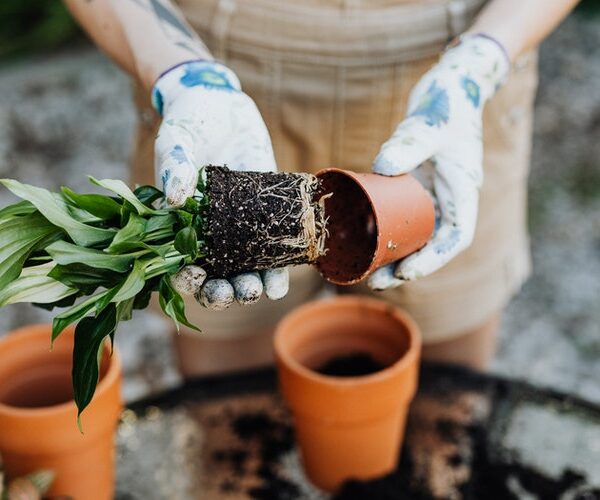 décoration jardin gifi