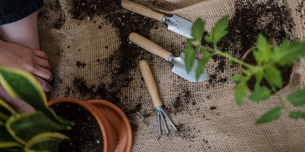 grattoir jardinage