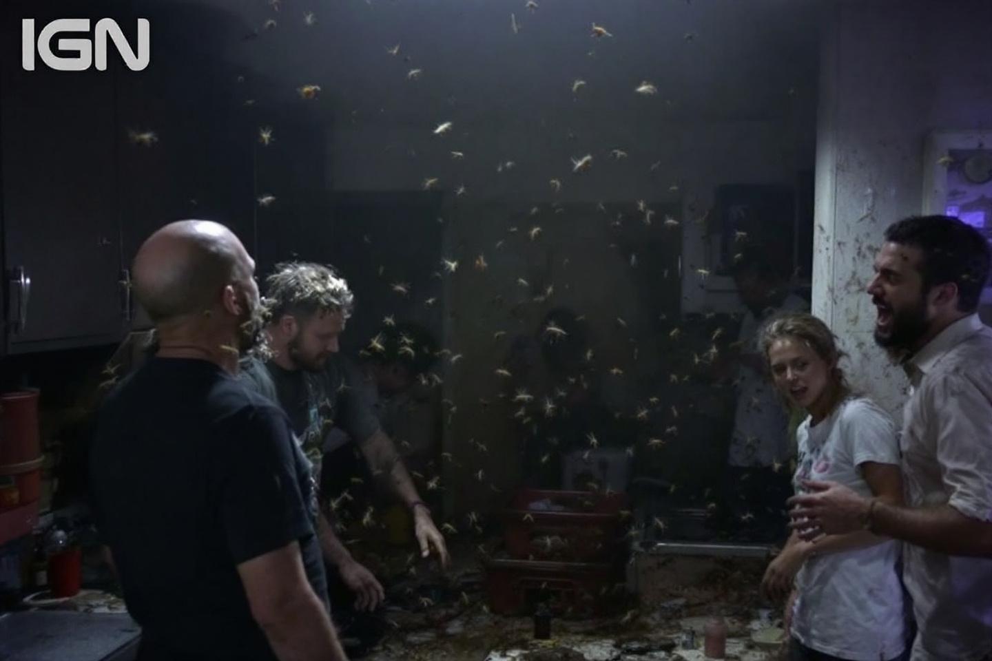 Asticots dans la maison : causes, solutions et prévention efficace